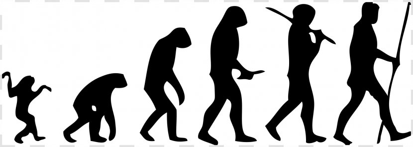 March Of Progress Homo Sapiens Ape Human Evolution - Flower - Juggling Transparent PNG