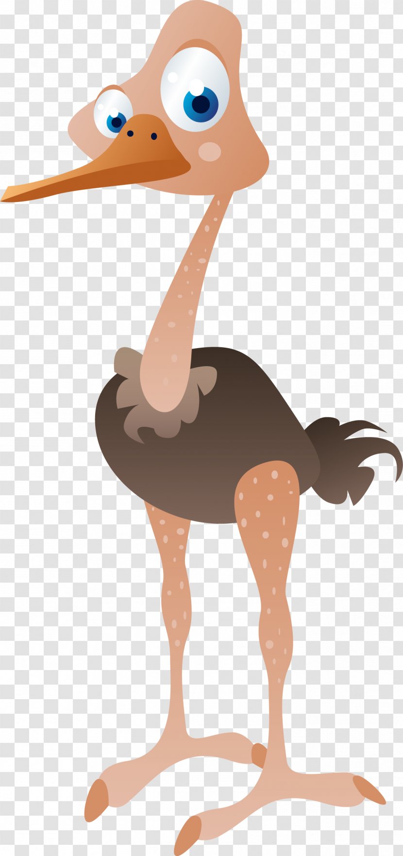 Common Ostrich Bird Illustration Transparent PNG