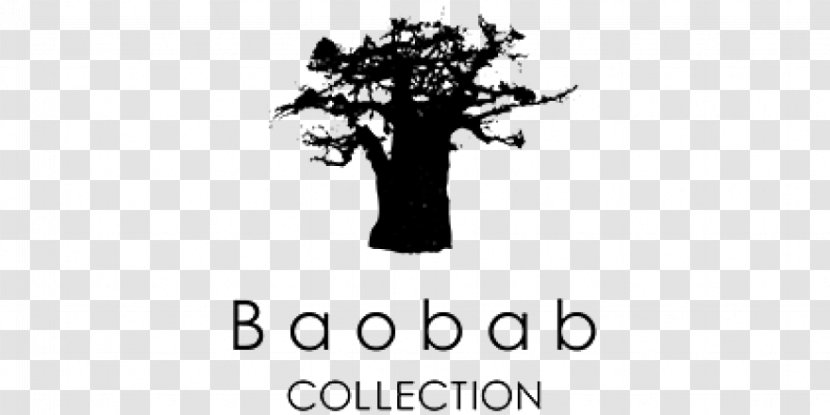 Baobab Collection All Seasons Scented Candle Sa - Black Transparent PNG
