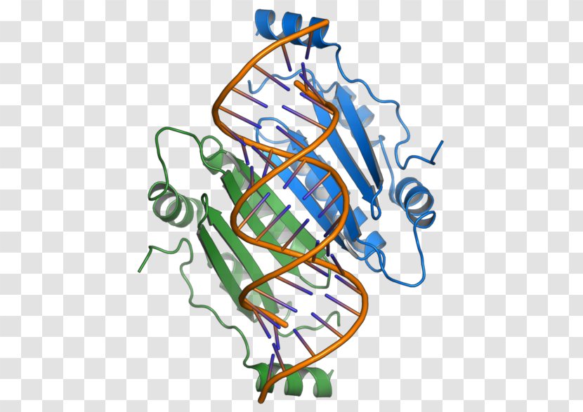 RNA Silencing Suppressor P19 Overlapping Gene Positive-sense Single-stranded Virus - Sense - Tombusvirus Transparent PNG