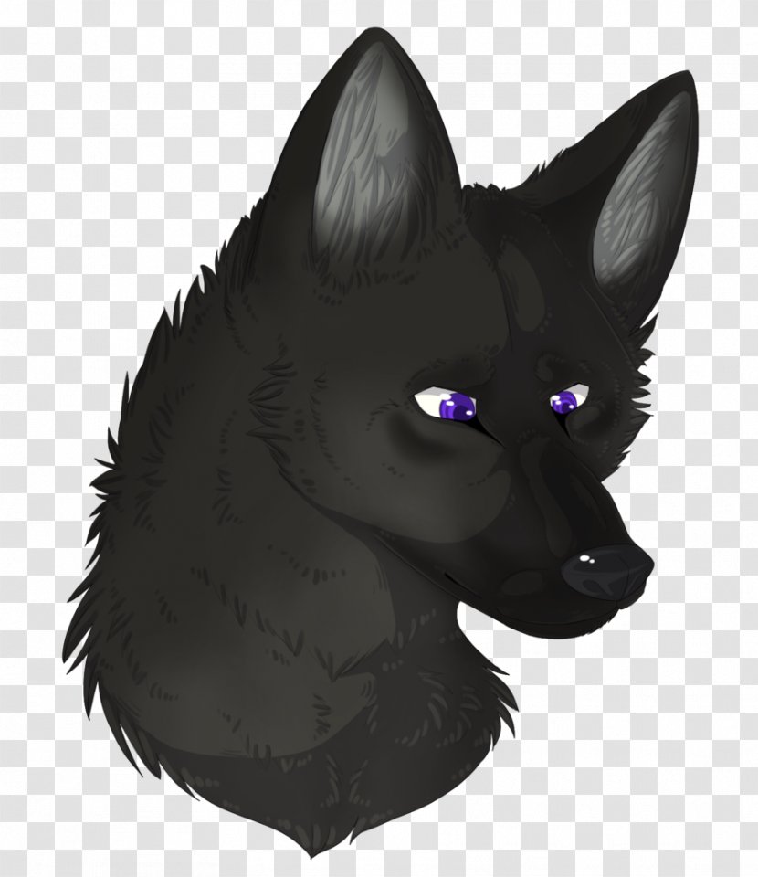 Black Cat Whiskers Schipperke Red Fox - Tail Transparent PNG