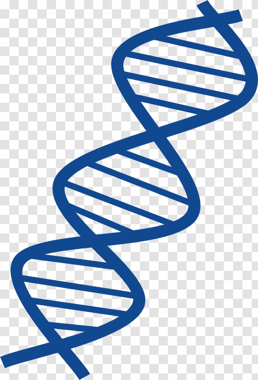 DNA Nucleic Acid Double Helix Clip Art - Mutant Transparent PNG