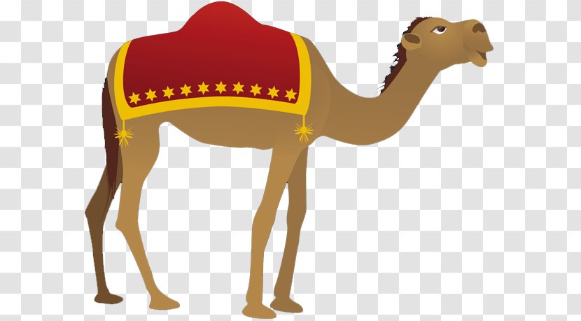 Camel Nativity Scene Clip Art - Neck - Moroccan Cliparts Transparent PNG