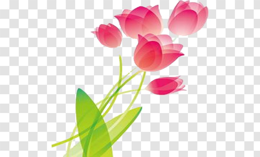 Tulip Pink Wallpaper - Rose Order - Design Transparent PNG