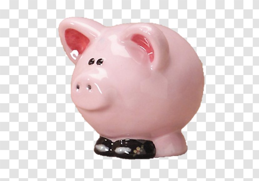 Piggy Bank Snout Fun Collectable - Pig Transparent PNG