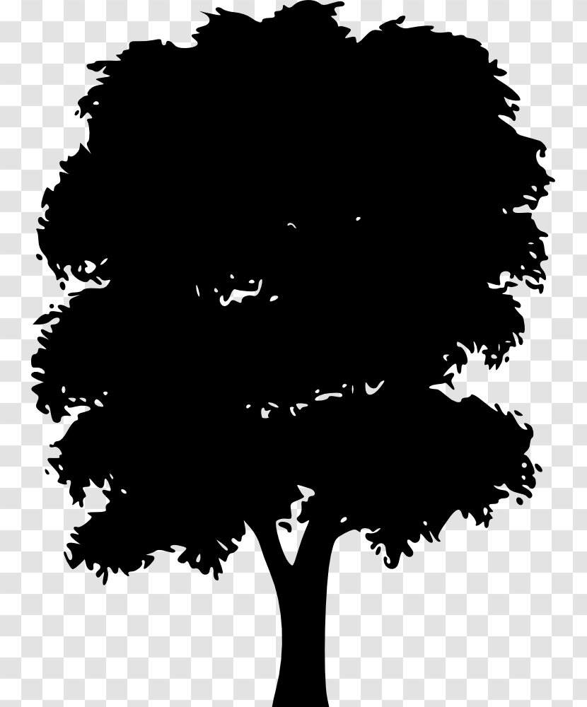 Tree Clip Art - Woody Plant Transparent PNG