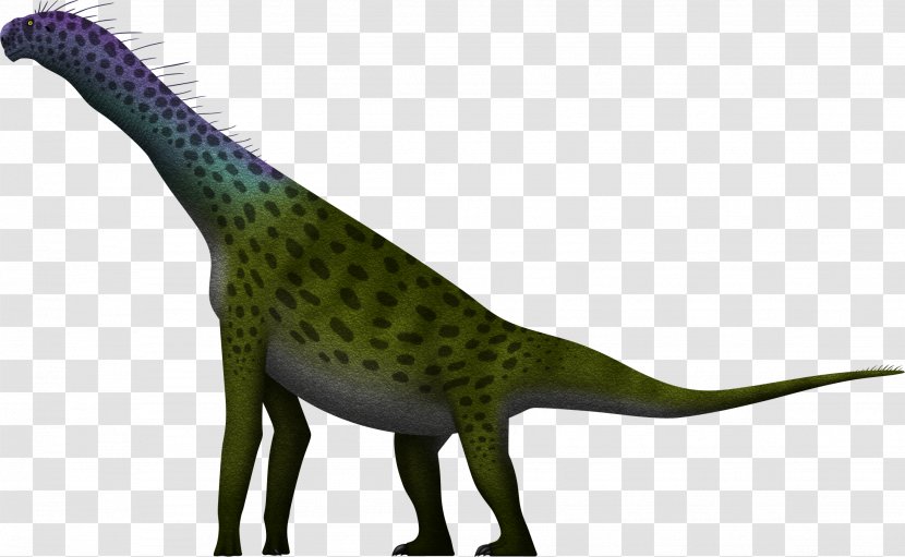 Atlasaurus Sauropoda Allosaurus Barosaurus Brachiosaurus - Dinosaur Transparent PNG