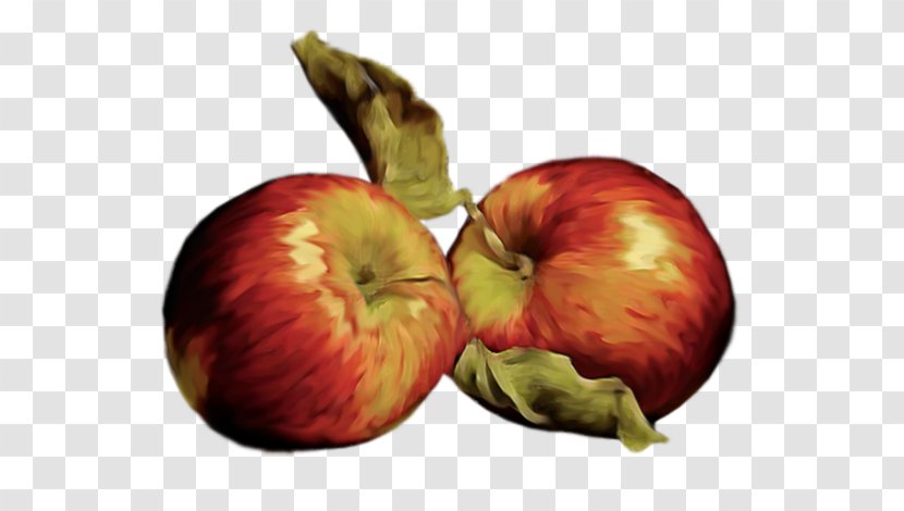 Apple Food - Snout - Two Apples Transparent PNG