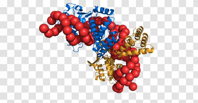 Protein Research University Of California, San Francisco Alt Attribute DNA - California - Coarse Grains Transparent PNG