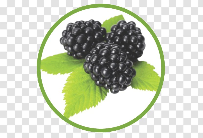 Boysenberry Red Mulberry Superfood Blackberry - BlackBerry Juice Transparent PNG
