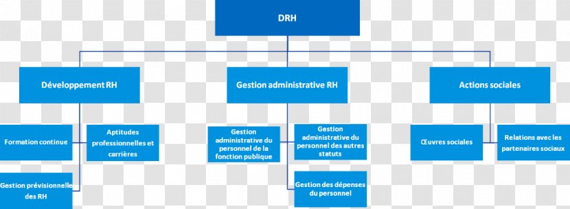 Human Resource Management Organizational Structure Kelk - District - Aid Fitr Transparent PNG