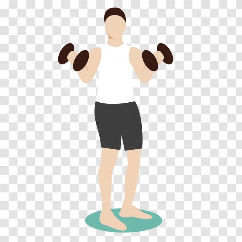 Dumbbell Physical Exercise Fitness - Standing - Men's Vector Material Transparent PNG