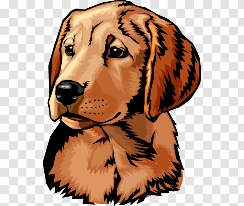 Golden Retriever Labrador Telarah Dog Training Inc. Dachshund - Hunting Transparent PNG