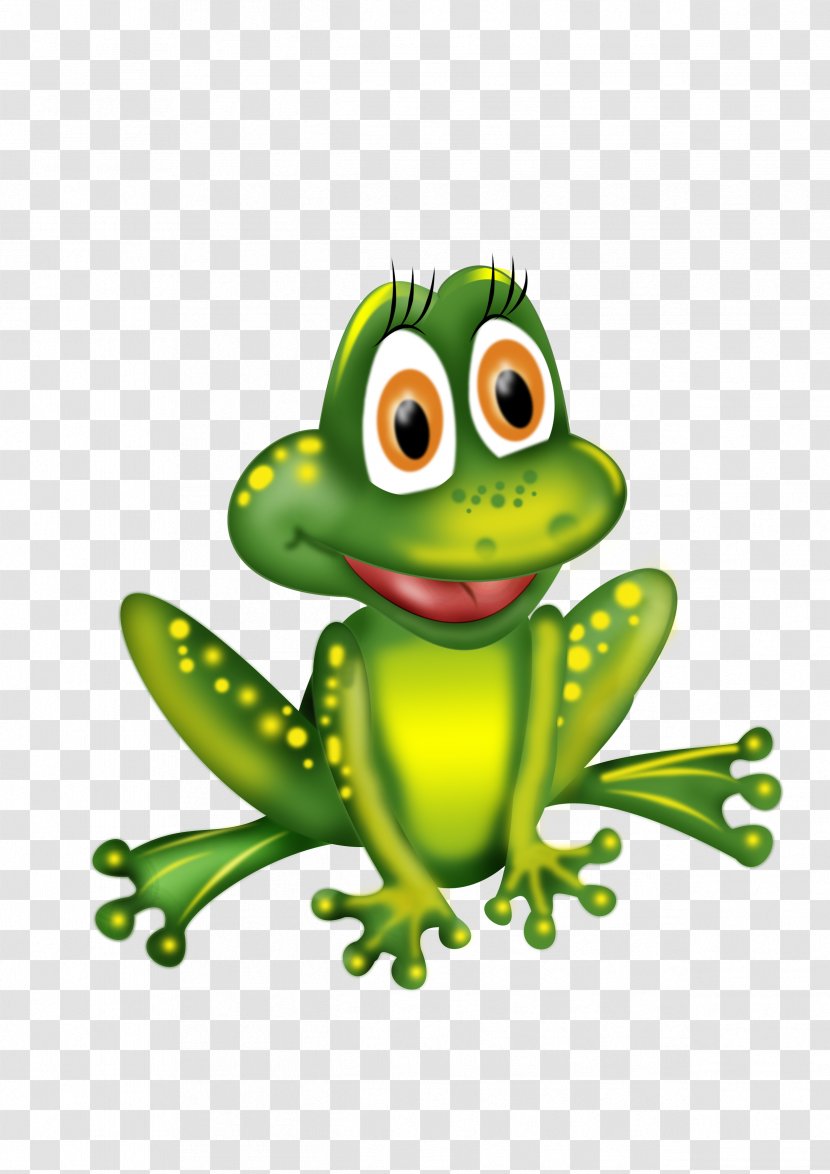 Common Frog Child Coloring Book Transparent PNG