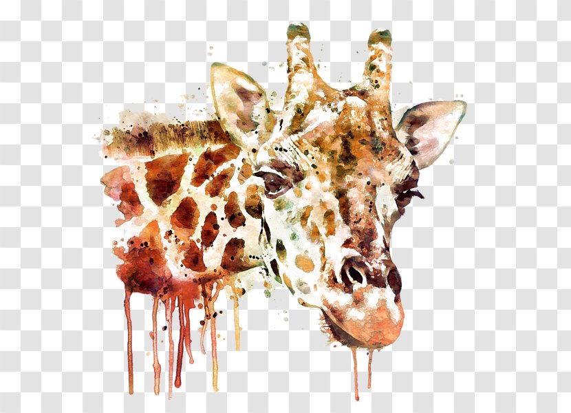 Giraffe Painting Canvas Art Drawing - Digital - Head Transparent PNG