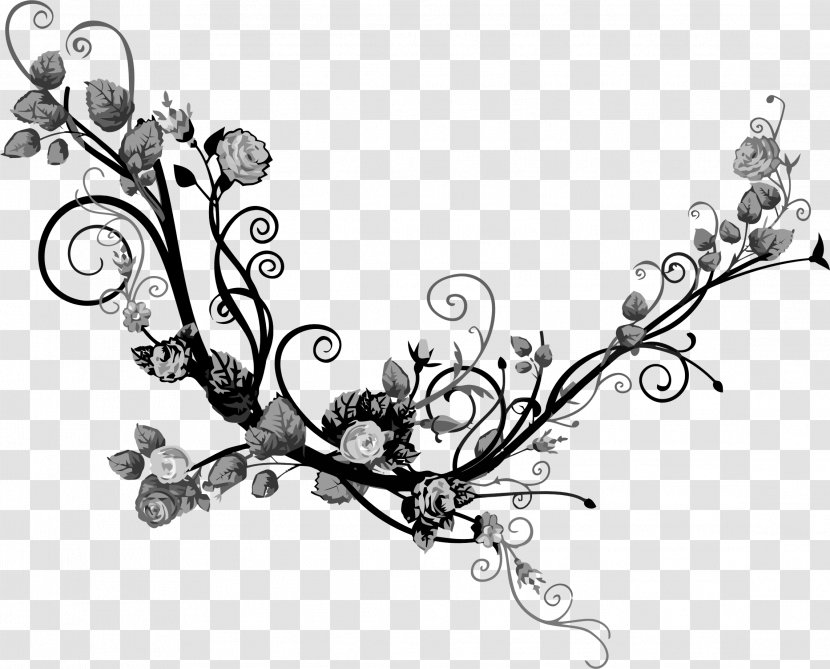Photography Flower Clip Art - Branch - Flourish Transparent PNG