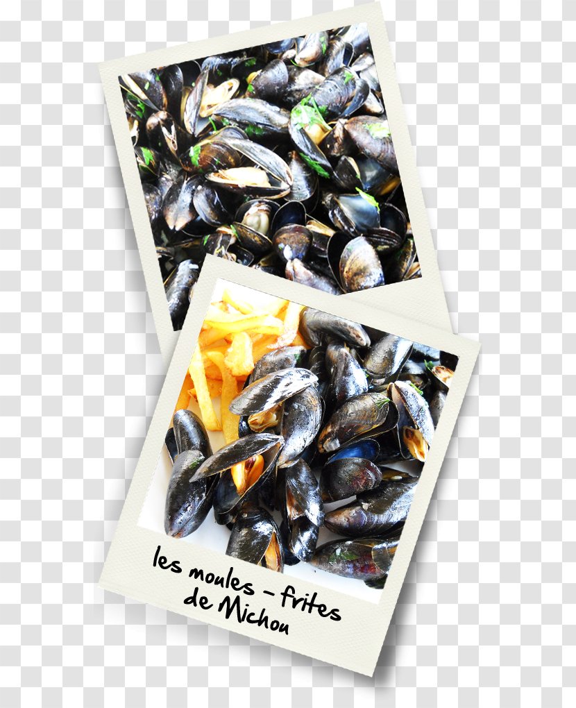 Mussel Moules-frites Dried Fruit Paella Recipe - Sundried Tomato - Moules Transparent PNG