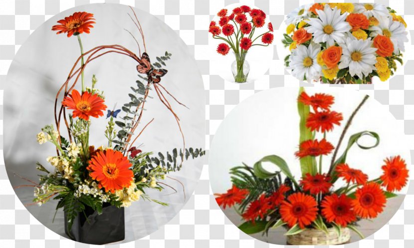 Transvaal Daisy Floral Design Cut Flowers Flower Bouquet - Halloween Transparent PNG