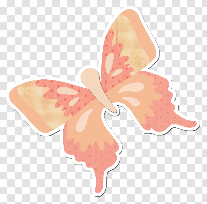 Moth Product - Feast Of The Holy Spirit Transparent PNG