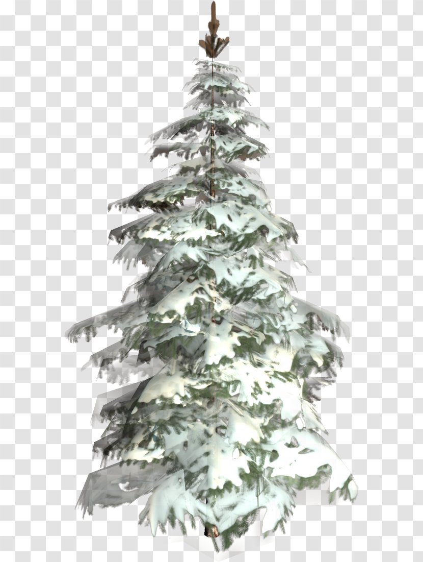 Christmas Tree Conifers Spruce Fir - Evergreen Transparent PNG