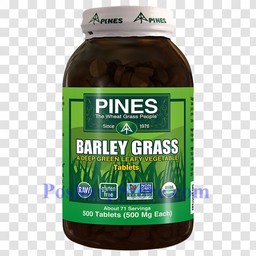 Organic Food Wheatgrass Powder Barley - Plant Transparent PNG