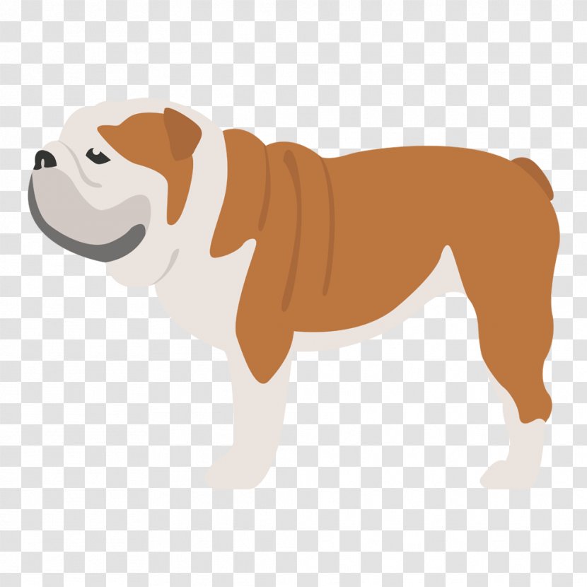 Old English Bulldog Dog Breed Bullmastiff Caucasian Shepherd - Guard - Leonberger Transparent PNG