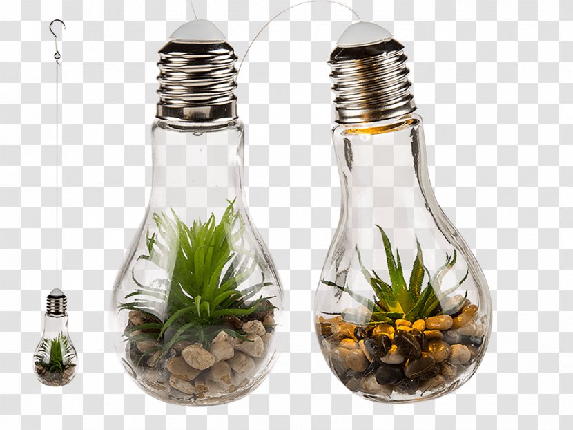 Incandescent Light Bulb LED Lamp Succulent Plant - Thomas Edison - Home Decoration Transparent PNG