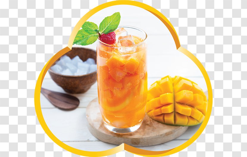 Orange Drink Long Island Iced Tea Harvey Wallbanger Cocktail Garnish - Foodservice Transparent PNG