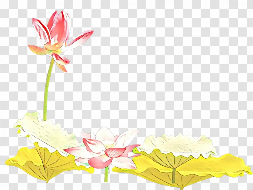 Floral Design Desktop Wallpaper Plant Stem Leaf Font - Flower Transparent PNG