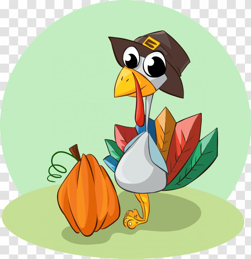 Thanksgiving Dinner Turkey Trot El Dia De Accion Gracias - Fauna - Bird Transparent PNG