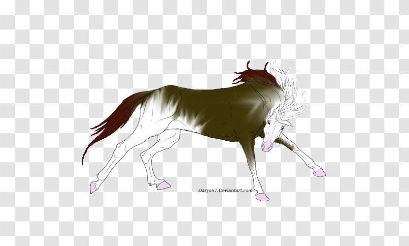 Mustang Stallion Pony Dog Horse Tack - Shinning Stars Transparent PNG