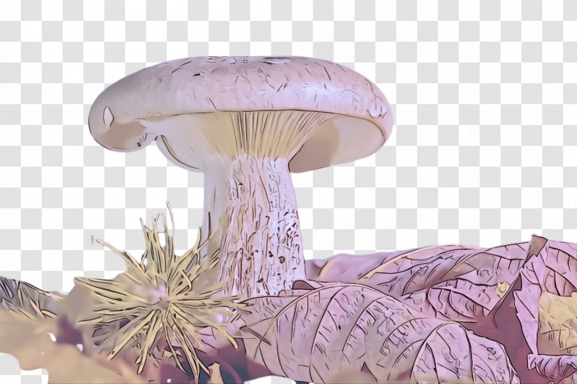 Mushroom Agaricaceae Violet Agaricomycetes Agaricus - Plant Russula Integra Transparent PNG