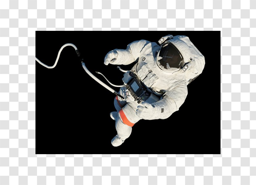 Astronaut International Space Station Human Spaceflight Suit Transparent PNG
