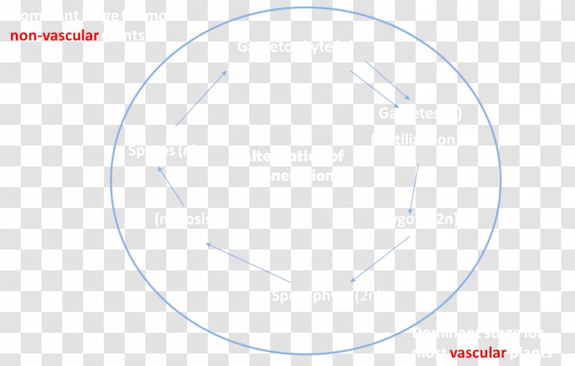 Circle Point Angle - Area Transparent PNG