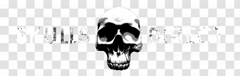 Snout Animal Skulls Skullsdirect Ltd Jaw - Skull Transparent PNG