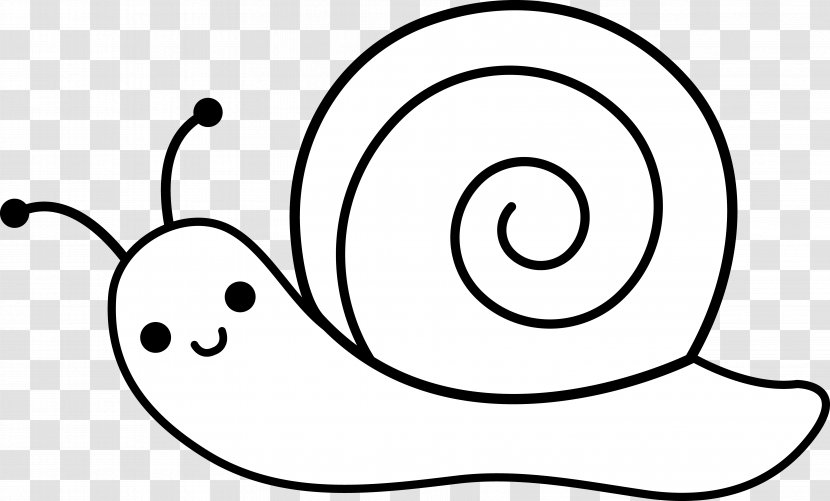 Snail Molluscs Drawing Coloring Book Clip Art - Snails Transparent PNG