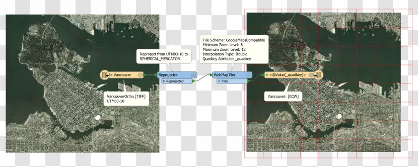 Digital Elevation Model Raster Data Graphics Safe Software JPEG - Tree - Leaflet Vector Transparent PNG