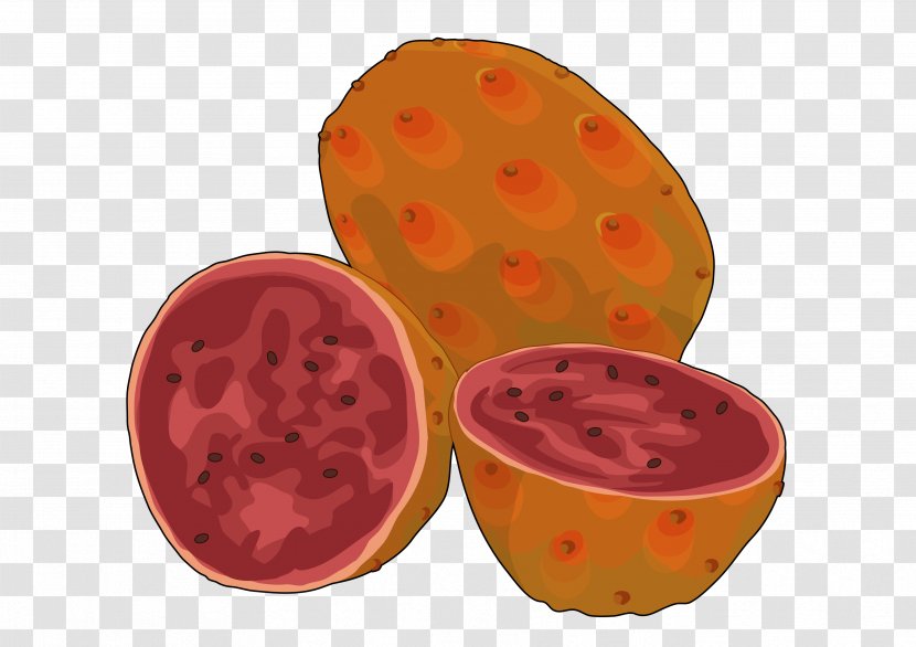Fruit Food Drawing Tuna Barbary Fig Transparent PNG