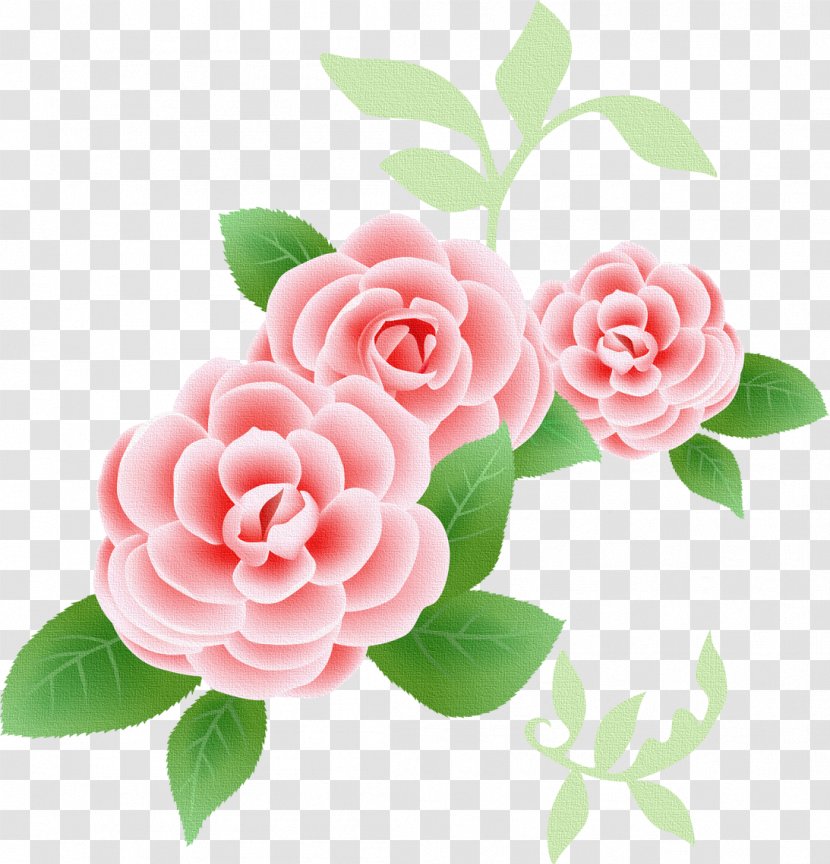 Rose Flower Pink Clip Art - Garden Roses Transparent PNG