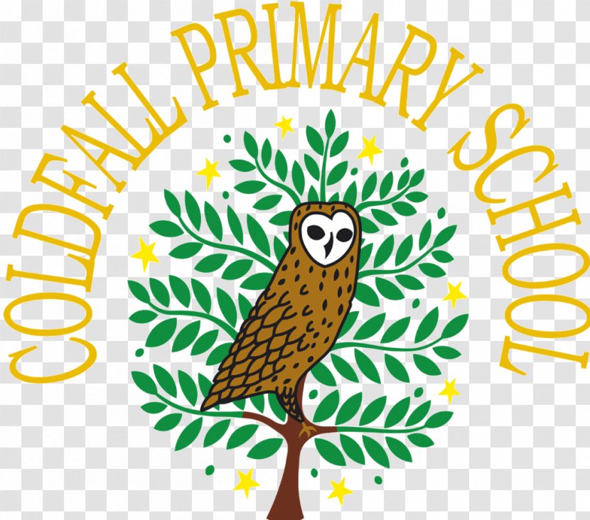 Coldfall Primary School Avenue Elementary Head Teacher - Yellow Transparent PNG