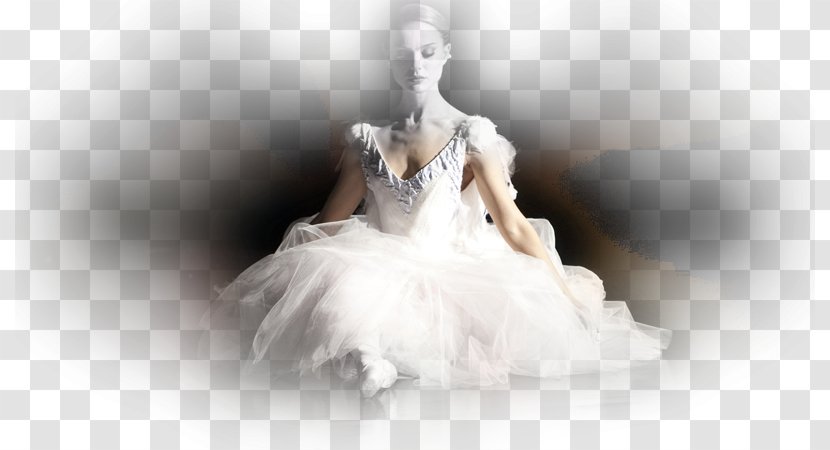 Nina Sayers Film Ballet Dancer Swan Lake - Silhouette Transparent PNG
