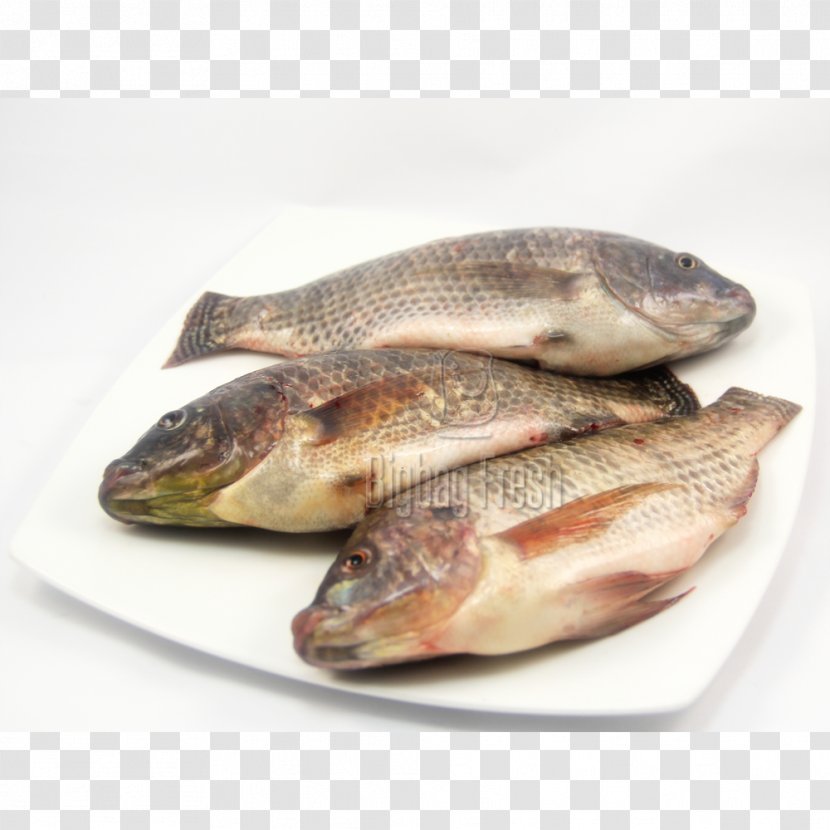Fish Products Tilapia 09777 Salted Cod Transparent PNG