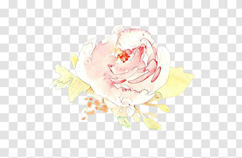 Garden Roses - Cartoon - Petal Plant Transparent PNG