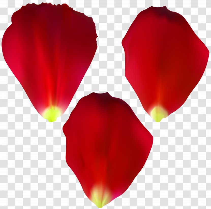 Rose Painting Clip Art - Petals Transparent PNG