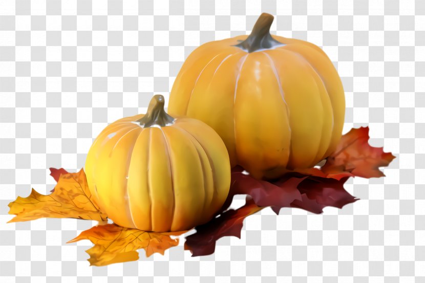 Pumpkin - Yellow - Leaf Transparent PNG