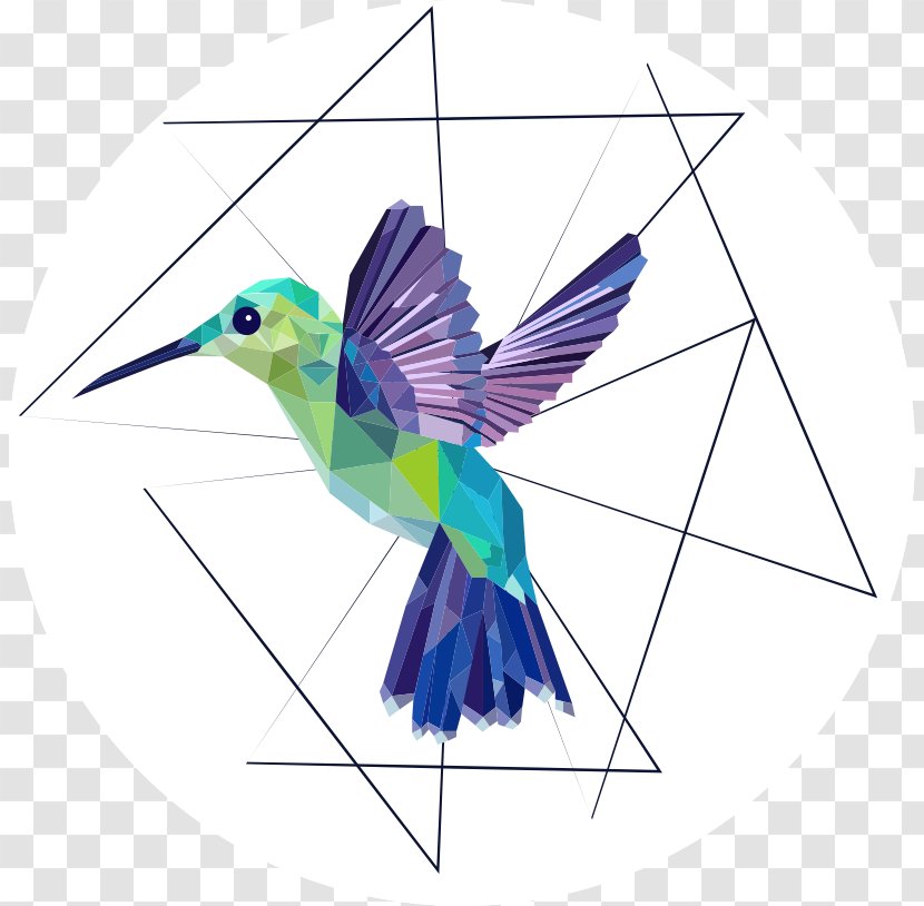 Hummingbird Geometry Golden-tailed Sapphire - Wing - Bird Transparent PNG