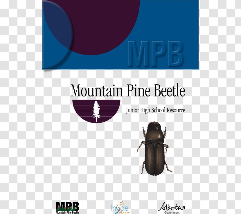 Graphic Design Mountain Pine Beetle Brand Product - Organism - High School English 1 Curriculum Map Transparent PNG