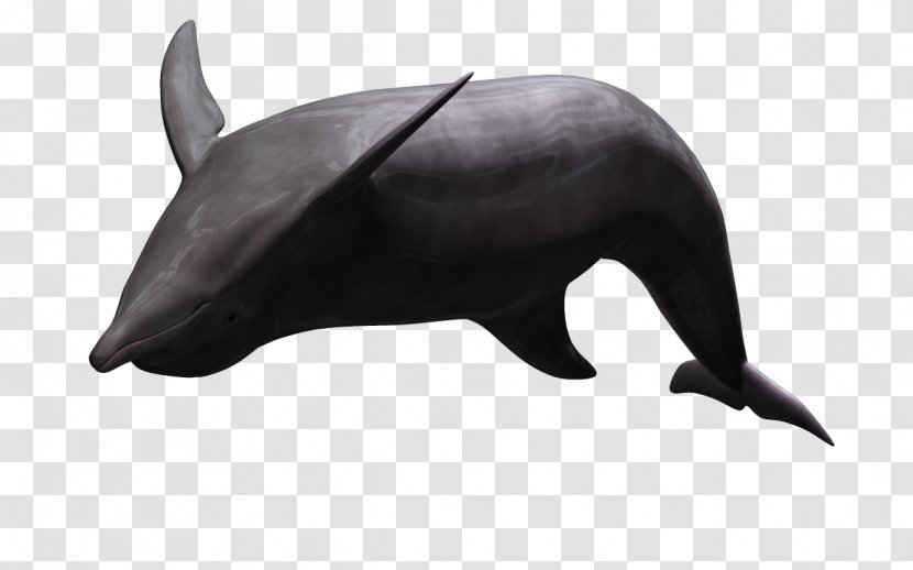 Dolphin Animal Animation - Wildlife - 3d Cartoon Animals Benthic Fauna Transparent PNG