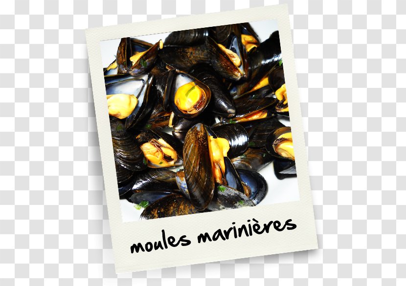 Mussel Marriage .net - Animal Source Foods - Moules Transparent PNG