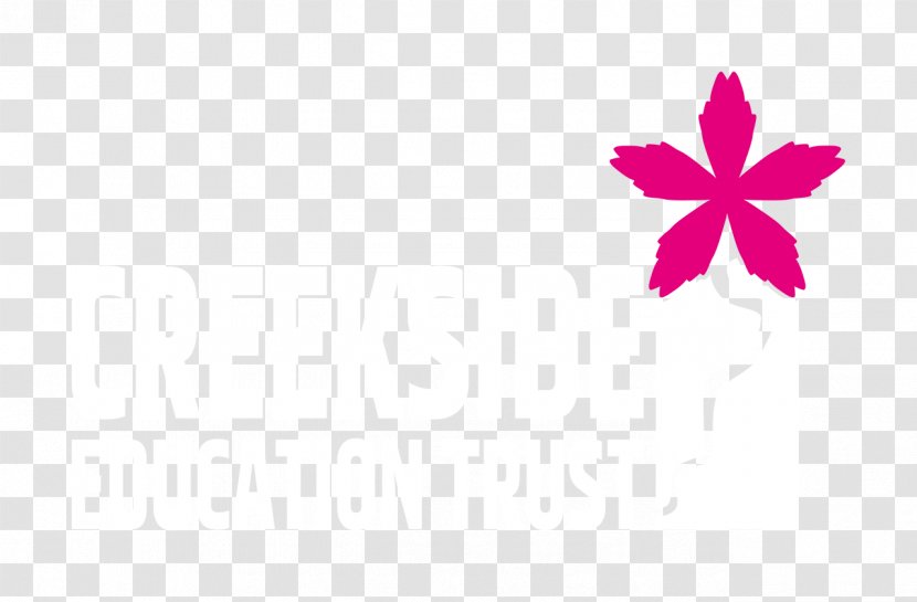 Desktop Wallpaper Pink M Line Computer Font - Flora - Discovery Transparent PNG